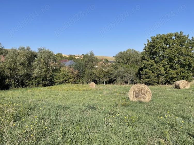 Teren în Dezmir
