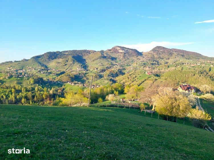 Teren 3,618mp Pestera / Strada Principala - 4