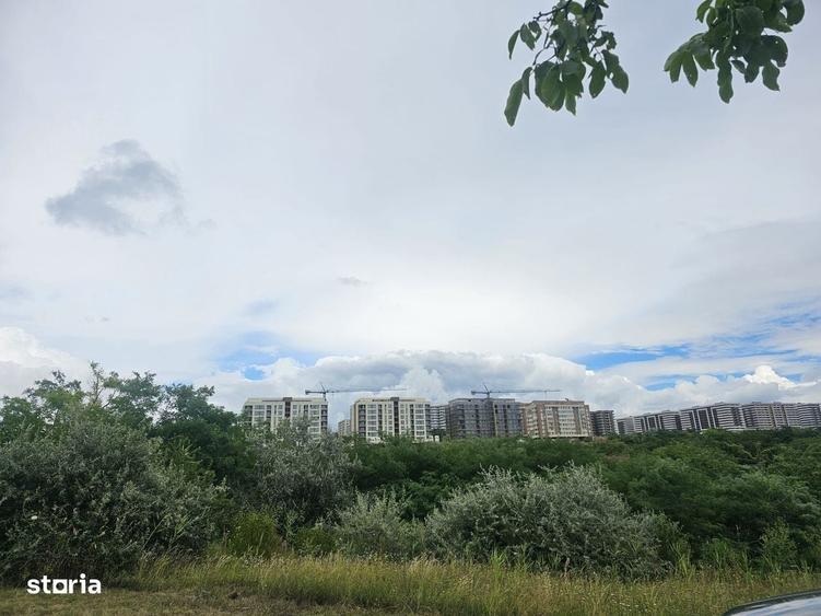 Teren intravilan IASI - COPOU - VITICULTORI - in vecinatatea padurii - 13
