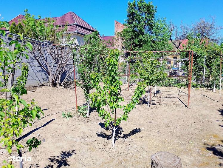 Apartament, 20 m2, - 3