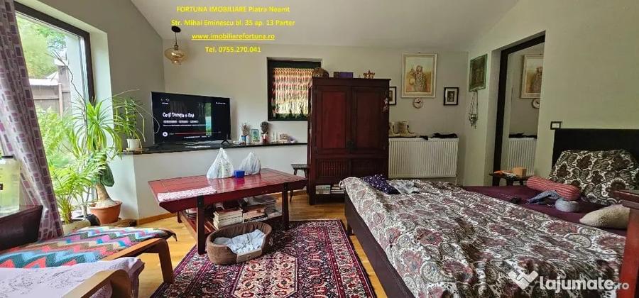 Proprietate deosebita in Almas- Casa P+M,echipata complet, teren 951 m - 10