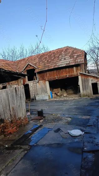 Casă cu Teren 5000 Mp în Roșia de Amaradia