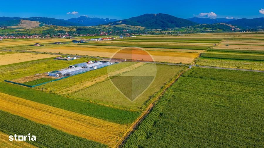 Teren de 7500 mp, în Tărlungeni