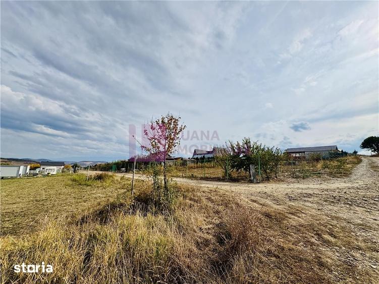 Teren de 18000 mp, în Roșia