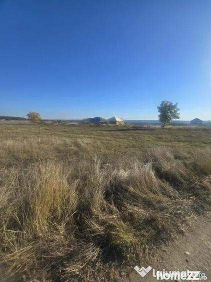 Teren de 1000 mp, în Central