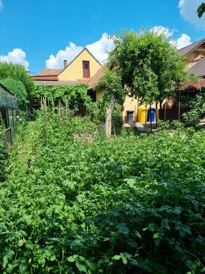 Casa de vanzare in Localitatea Darlos judetul Sibiu - 2