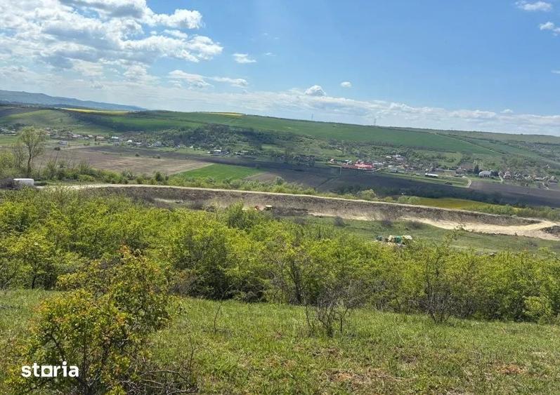 Teren vanzare ,Luna de jos , 4.5 hectare cu C.F , Extravilan 3.5Euro/M - 1