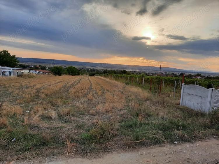Teren de 1500 mp, în Central