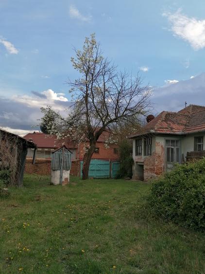 Casă cu 3 camere în Țapu