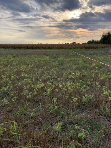 Teren agricol extravilan de 621 mp, în Corbeanca