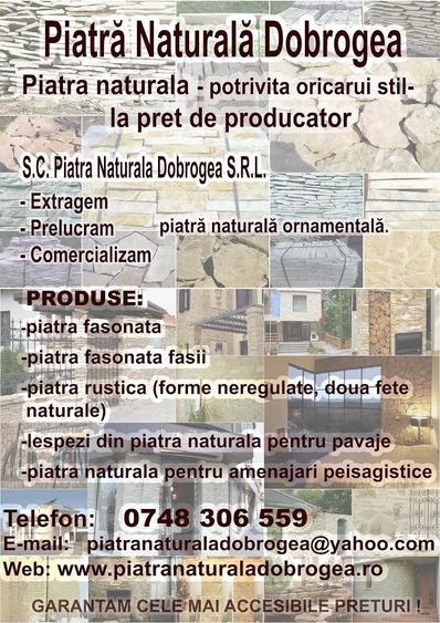 Spațiu comercial, de 300 mp, în Ciucurova