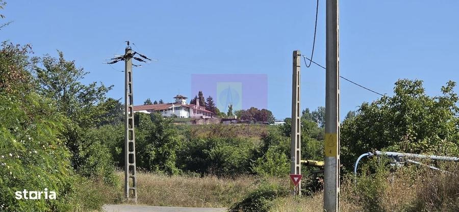 Spațiu comercial, în Boldești