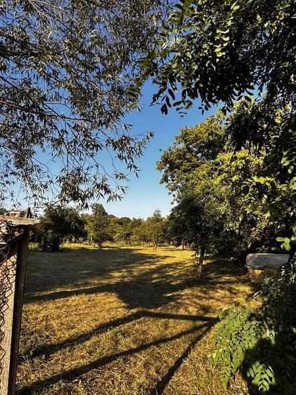 Teren de 1550 mp, în Galda de Jos