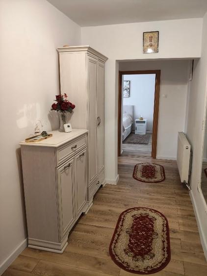Apartament cu 2 camere decomandat, mobilat în Terezian