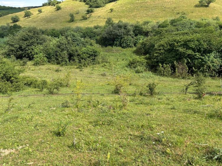 Teren agricol extravilan de 2200 mp, în Vlaha