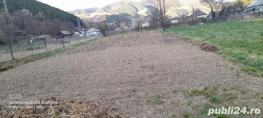 Teren în Tașca