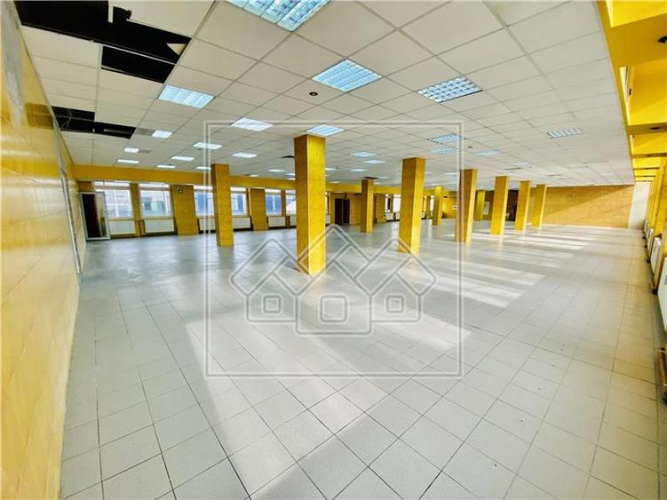 Spațiu industrial, de 1,200 mp, în Terezian