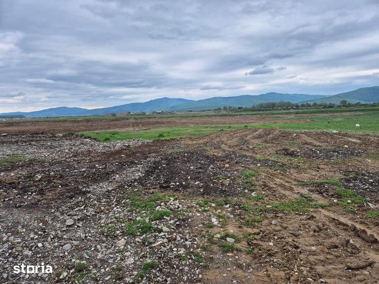 Teren de 1450 mp, în Tărlungeni