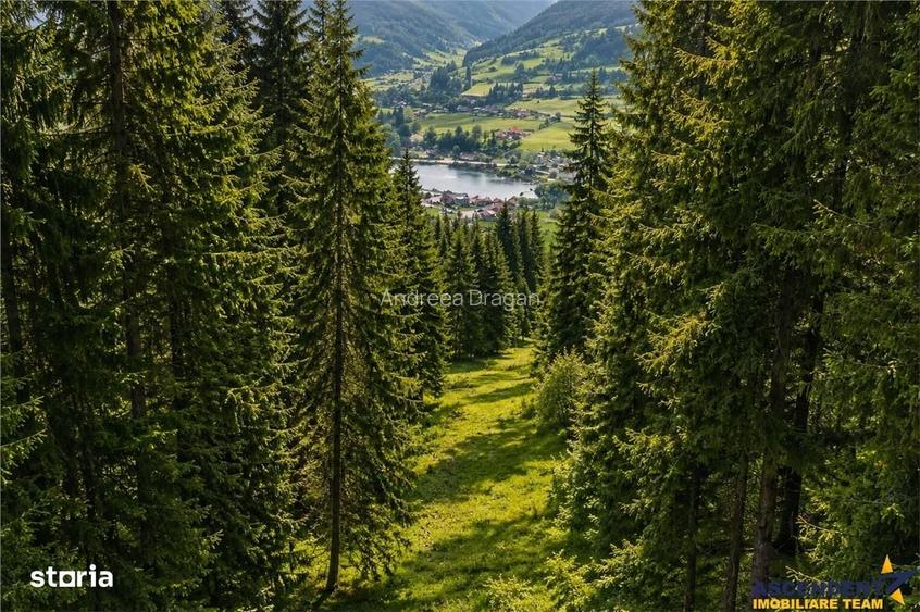 FILM!Teren 7.800mp,fosta partie de schi,investitie turisticaagrement,L