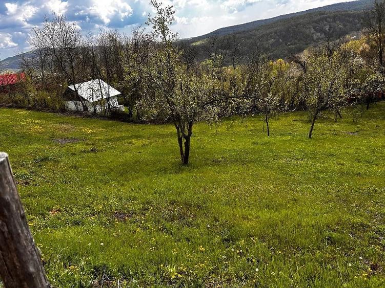 Teren de 2350 mp, în Surani
