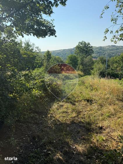 Teren de 1350 mp, în Cernești