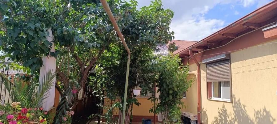 Casă cu 3 camere în Viile Noi