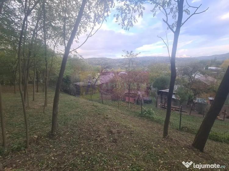Casă cu 3 camere cu Teren 3410 Mp în Aluniș