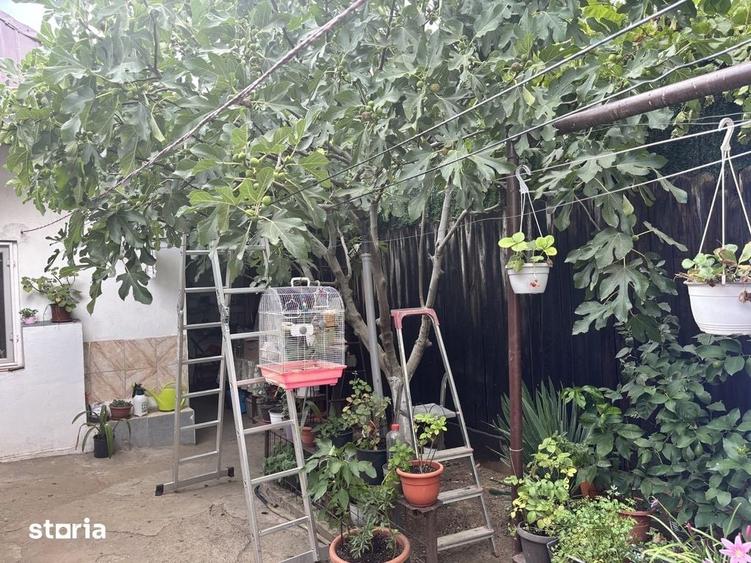 Casă cu 5 camere cu Teren 312 Mp în Aluniș