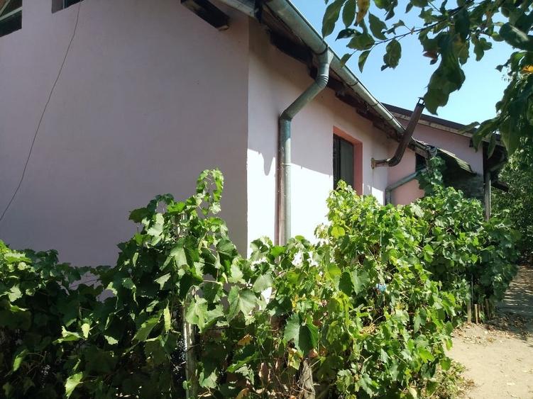 Casă individuală cu 4 camere cu Canalizare în Bariera Vâlcii