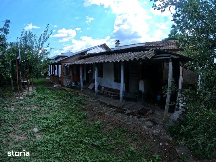 Casa si teren in comuna Vedea - 12