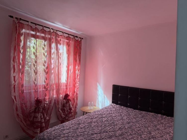 Persoana fizica inchiriez apartament cu doua camere, Podu ros - 6