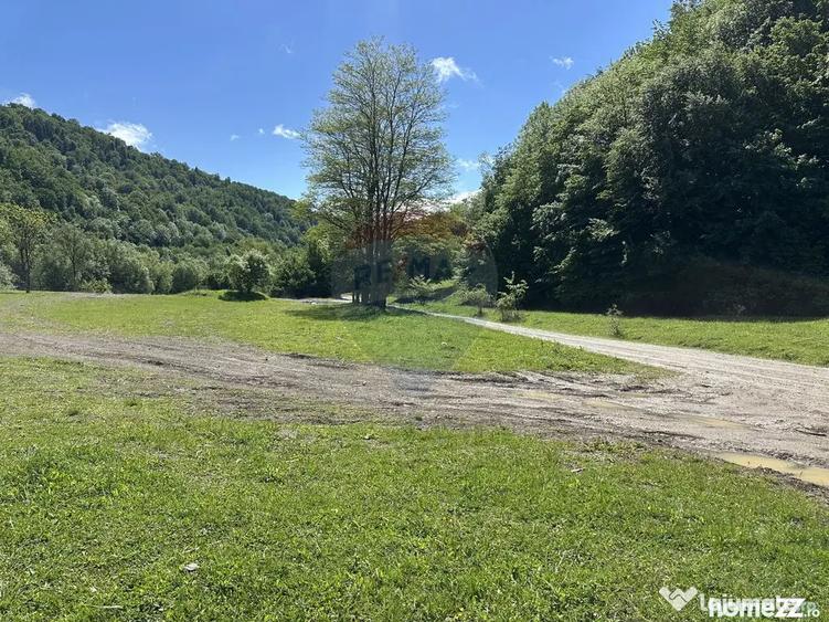 Teren de 1340 mp, în Cuejdiu