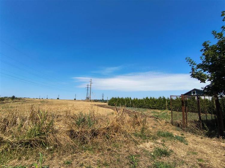 Teren agricol intravilan de 1000 mp, în Agigea