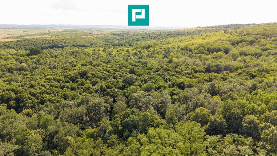 Teren agricol extravilan de 22900 mp, în Exterior Sud