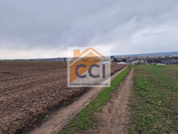 Teren agricol intravilan de 10000 mp, în Vest