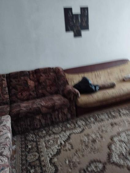Vand apartament 3 camere Valea Frumoasei Sebes - 8