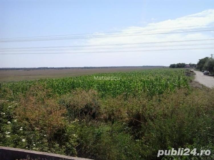Teren de 7500 mp, în Central