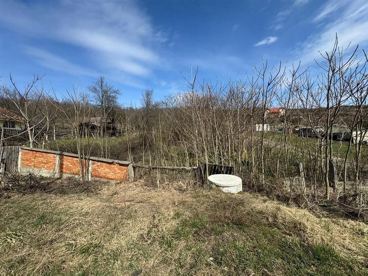 Teren Construcții intravilan de 11400 mp, în Corpadea