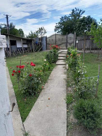 Casă cu 5 camere cu Teren 2500 Mp în Vutcani