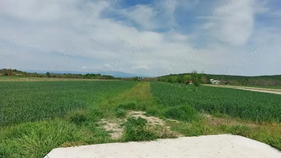 Teren în Galicea