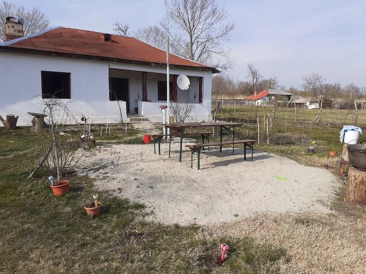 Casă cu Teren 1592 Mp în Schitu
