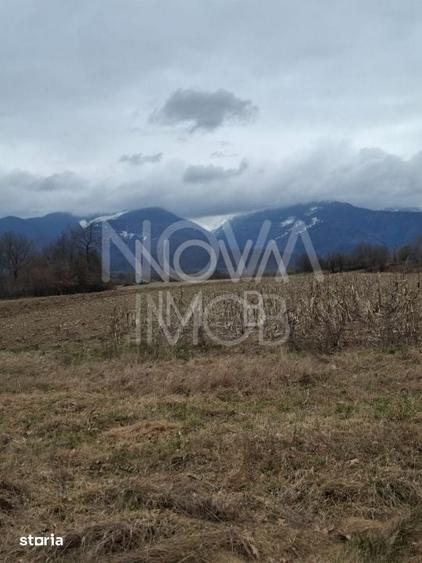 Teren de 2100 mp, în Central