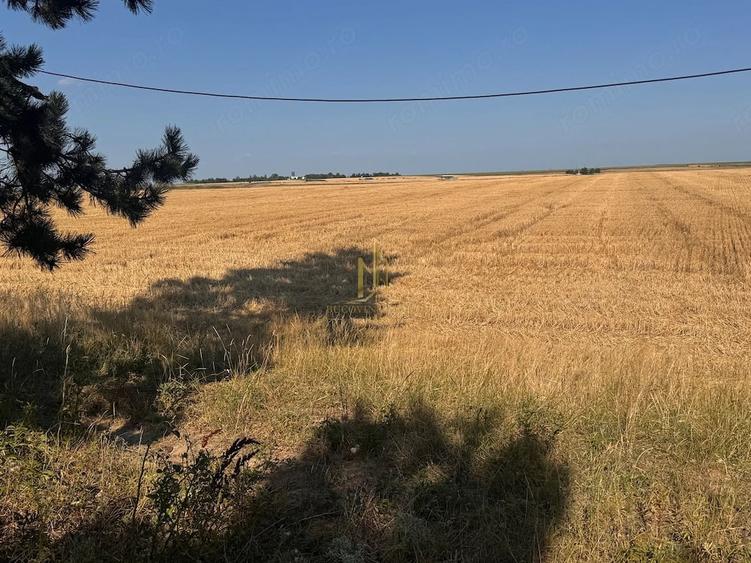 Teren de vanzare 10.200 mp, PlopeniSalcea, zona Aeroportului Suceava - 6