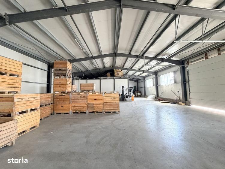 Spațiu comercial, de 10,000 mp, în Horia
