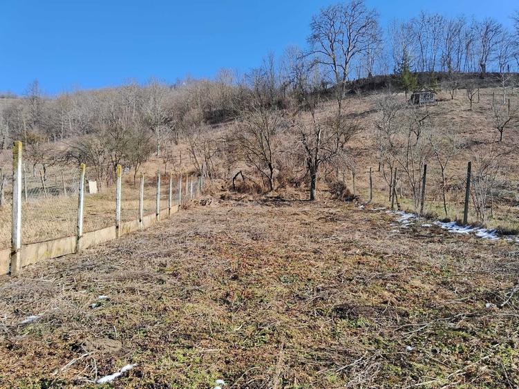 Casă cu 3 camere în Curciu