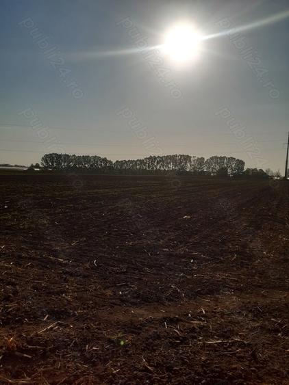 Teren de 4850 mp, în Dobreni