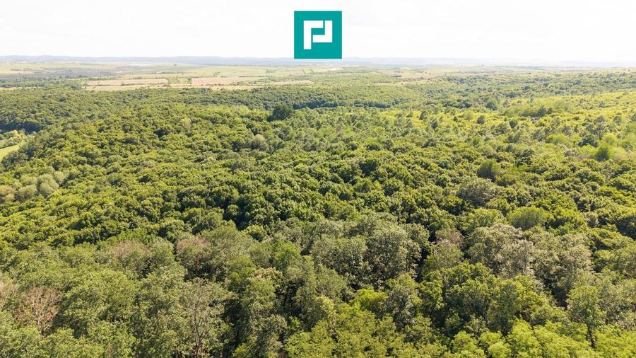 Teren agricol extravilan de 22900 mp, în Exterior Sud