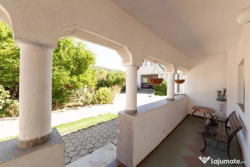 Casa visurilor cu 4000 mp livada roditoare si gradina Dar... - 8