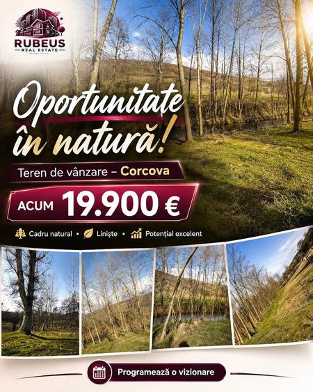 Teren de 10000 mp, în Corcova