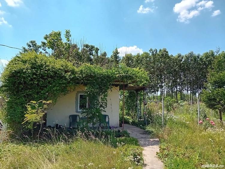 Teren de 1500 mp, în Hagiești